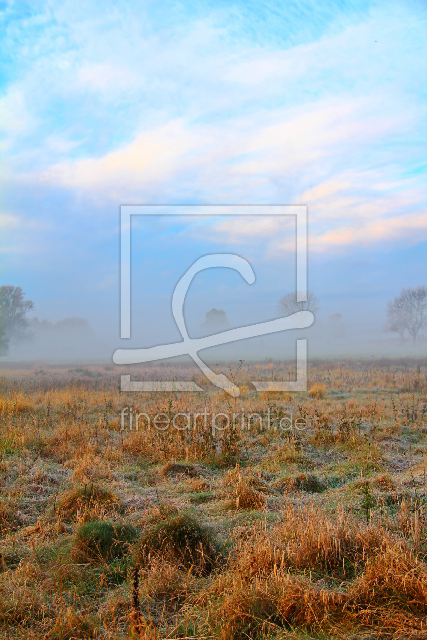 Bild-Nr.: 11412744 Rauhreif und Nebel Bild-Nr.: 11412744 Rauhreif und Nebel erstellt von falconer59