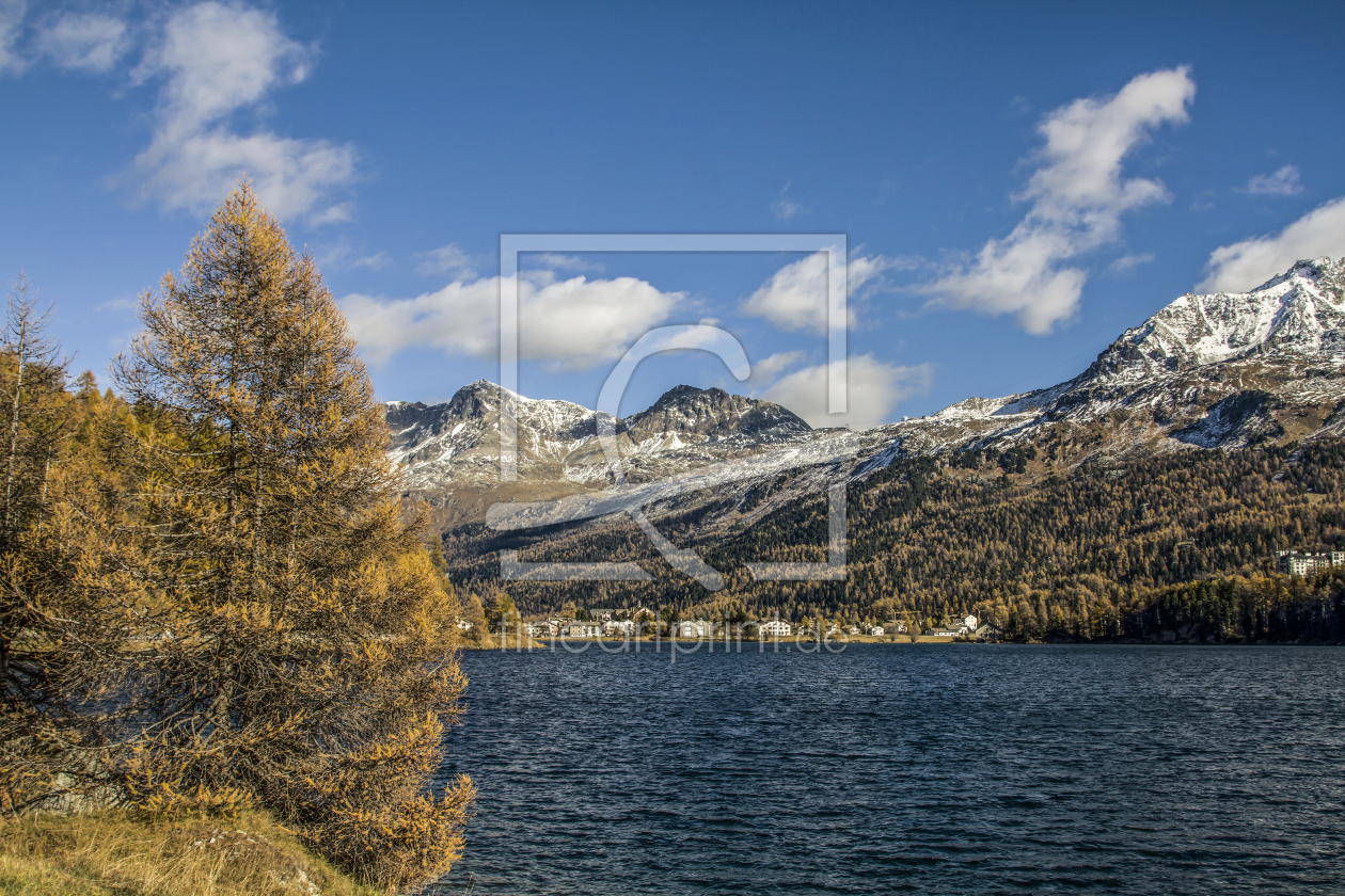 Bild-Nr.: 11415750 Herbst am Silser See erstellt von EderHans