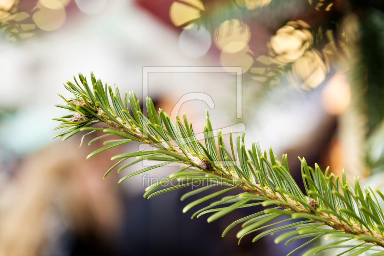 Bild-Nr.: 11416241 Weihnachtszweig erstellt von Wolfgang Zwanzger