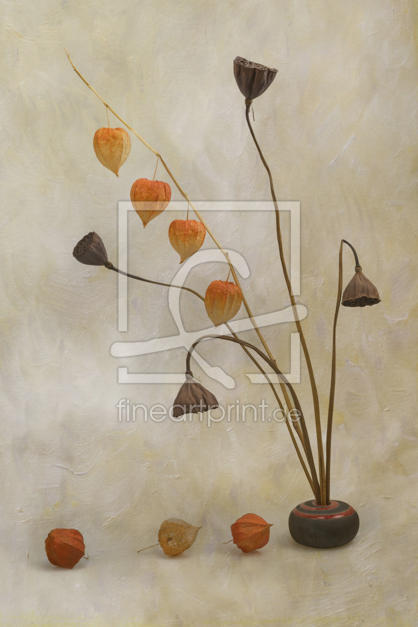 Bild-Nr.: 11416599 Stilleben mit Lampions und Lotos erstellt von Thomas Herzog