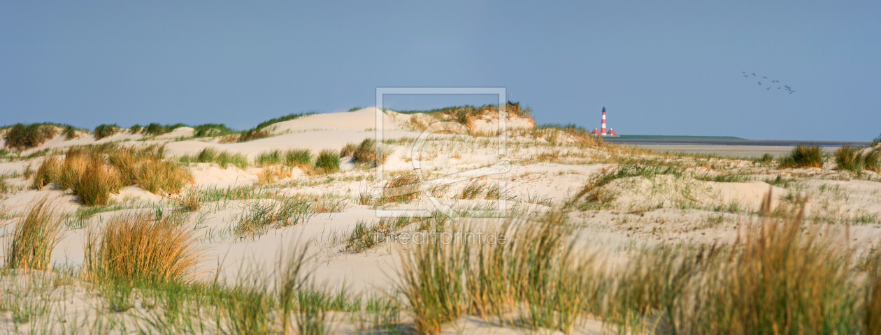 Bild-Nr.: 11418333 Mitten in den Dünen vor Westerhever erstellt von ReichderNatur