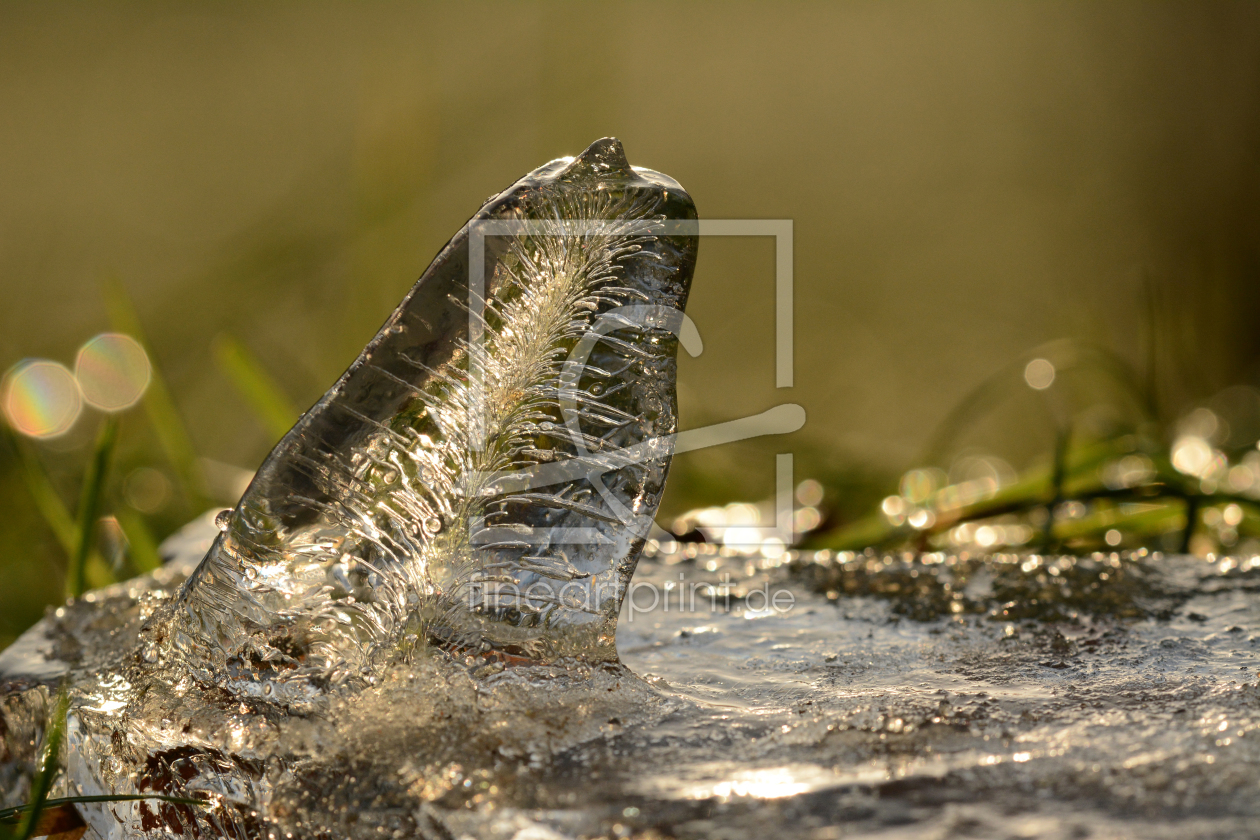 Bild-Nr.: 11418448 Winterexquisit erstellt von Ostfriese