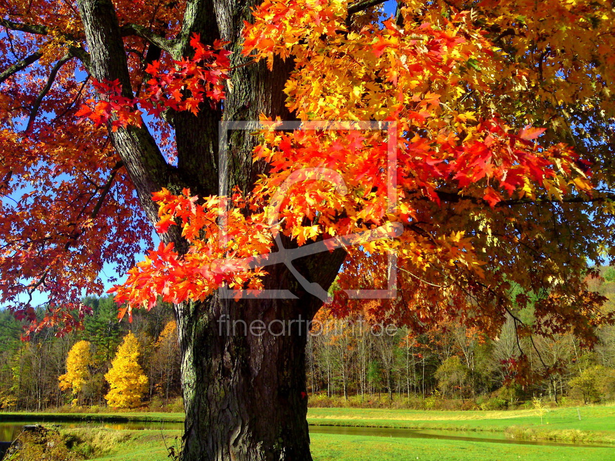 Bild-Nr.: 11423347 Indian summer erstellt von Digranes