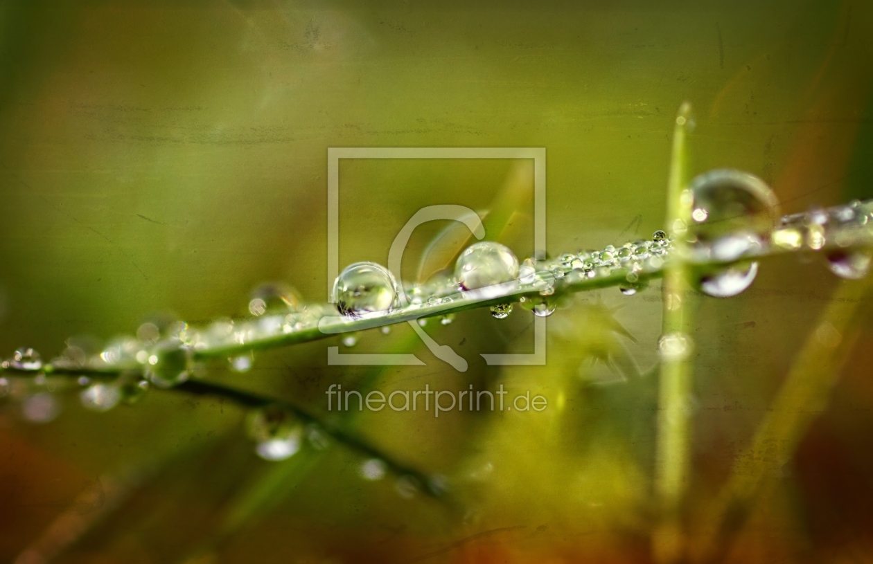 Bild-Nr.: 11423863 Wiese im Winter erstellt von youhaveadream
