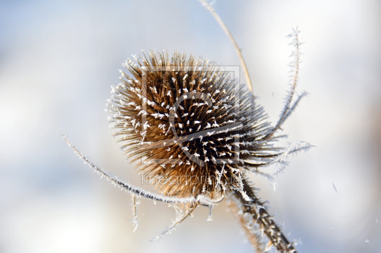 Bild-Nr.: 11425322 .. winterliches .. erstellt von GUGIGEI