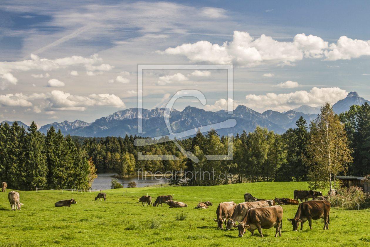 Bild-Nr.: 11425752 Idyllisches Allgäu erstellt von EderHans