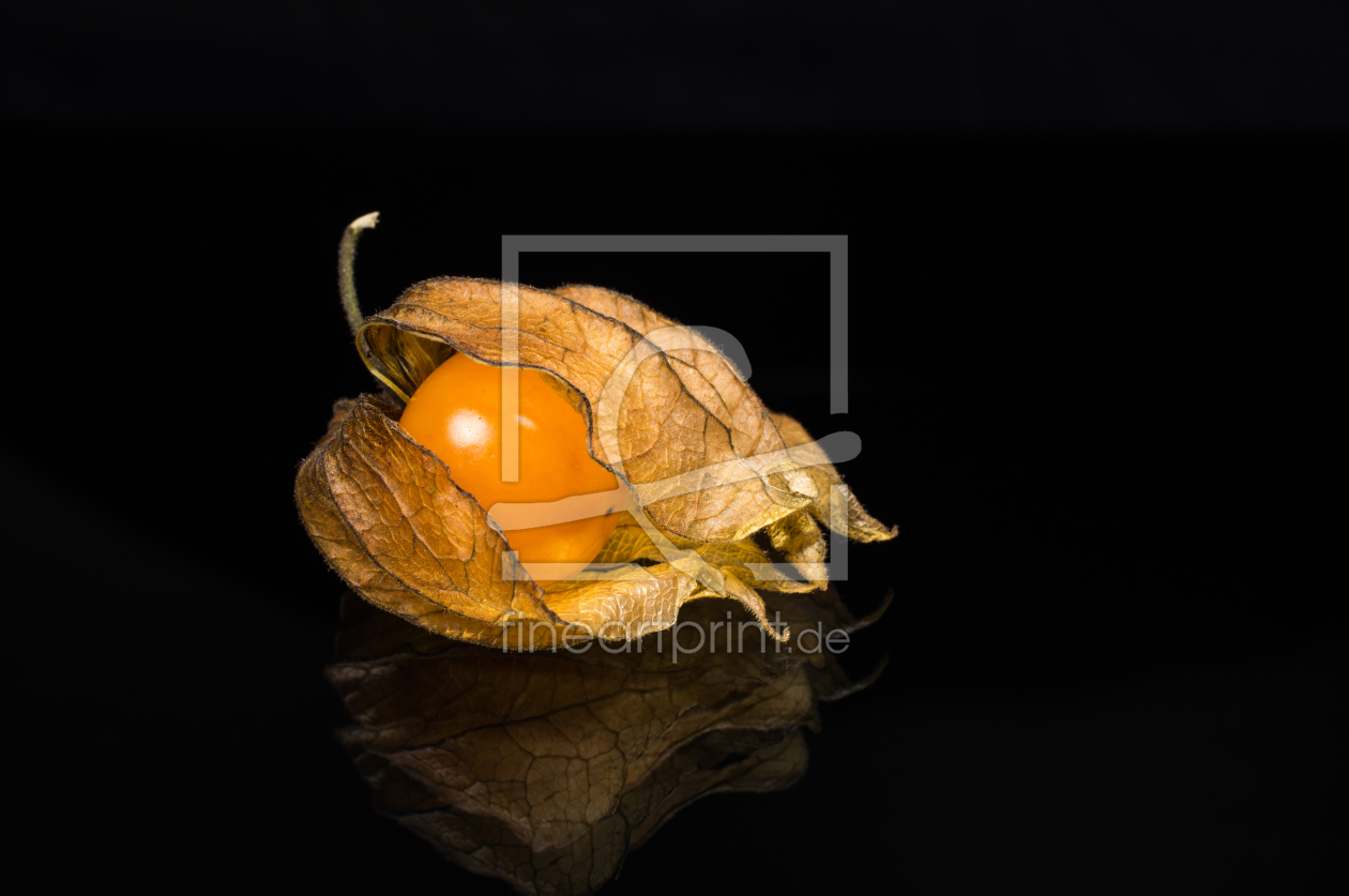 Bild-Nr.: 11425809 Physalis 7 erstellt von Erhard Hess