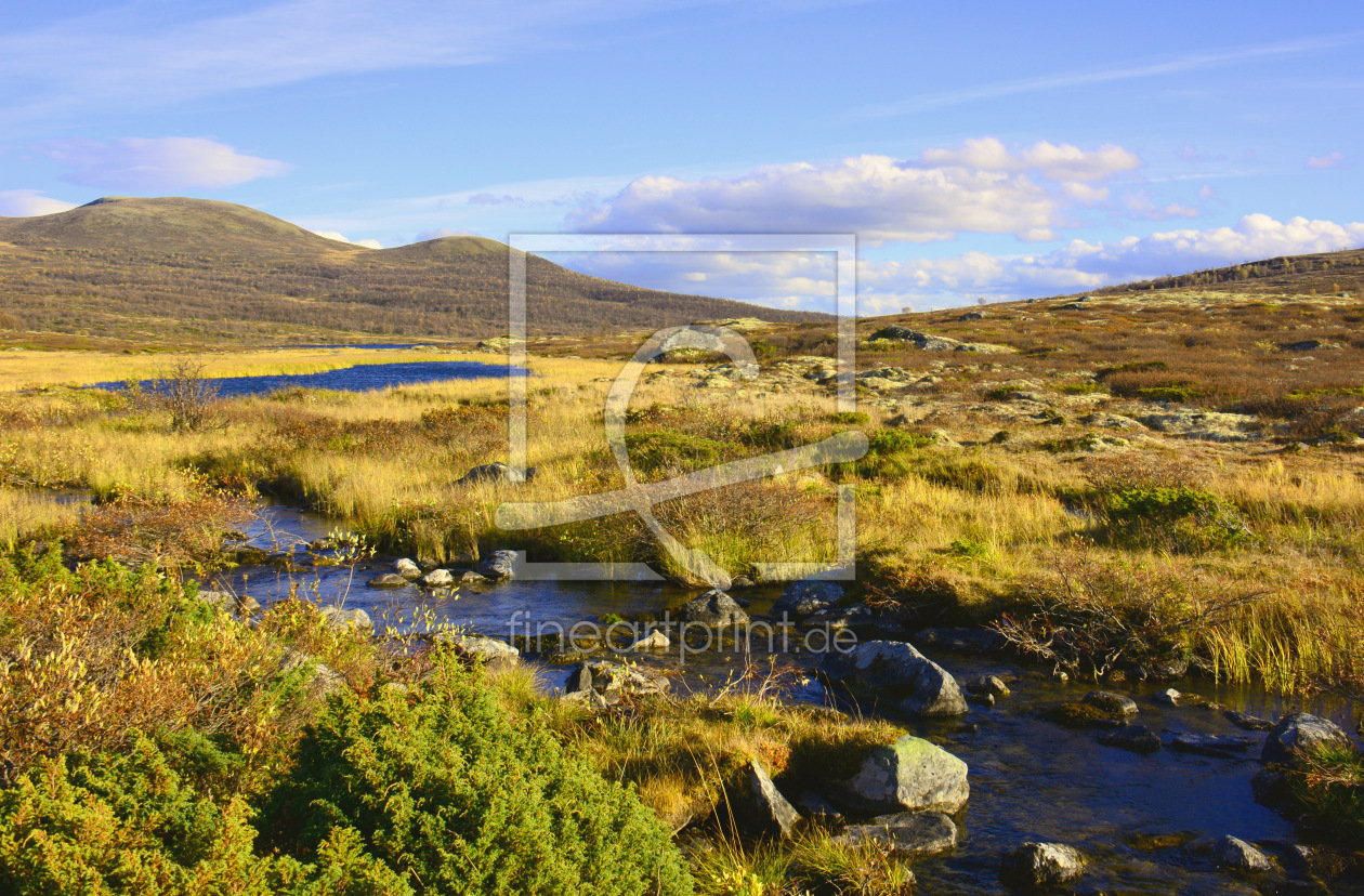 Bild-Nr.: 11426017 Unterwegs im Dovrefjell-Nationalpark erstellt von GUGIGEI