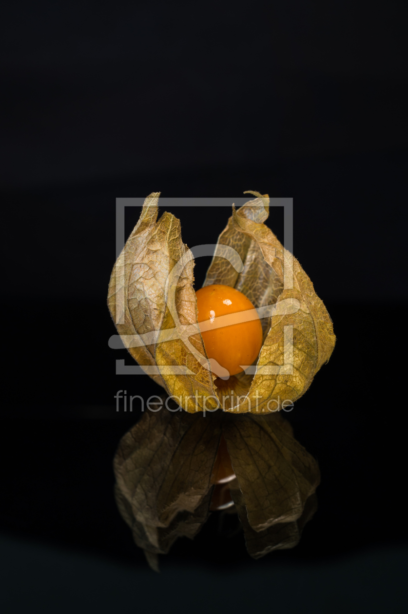 Bild-Nr.: 11426632 Physalis 8 erstellt von Erhard Hess