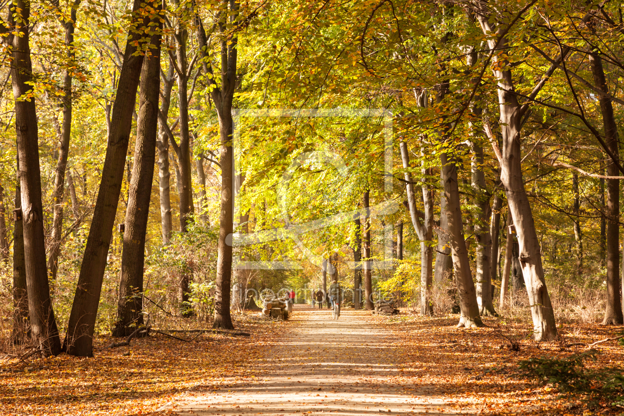 Bild-Nr.: 11427662 Herbststimmung erstellt von SP10