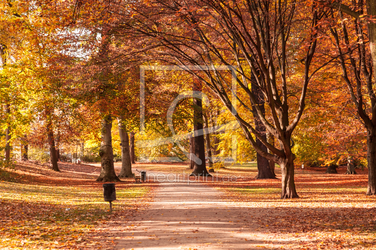 Bild-Nr.: 11428450 Herbstpark erstellt von SP10