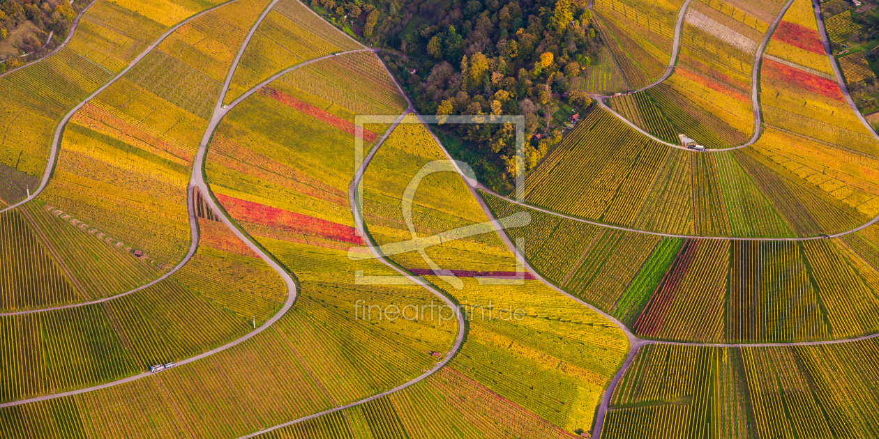 Bild-Nr.: 11428815 WEINBERGE IM HERBST erstellt von dieterich