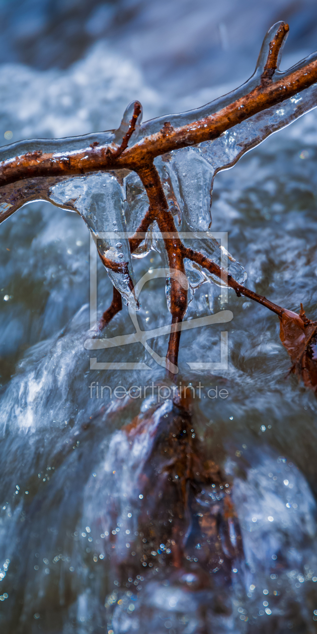 Bild-Nr.: 11429043 Am eisigen Wasser erstellt von Richard-Young