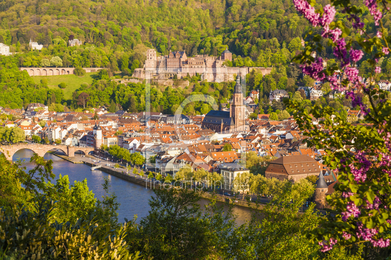 Bild-Nr.: 11429365 HEIDELBERG erstellt von dieterich