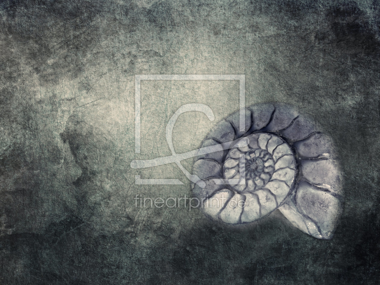 Bild-Nr.: 11429761 Ammonit erstellt von Heike Hultsch