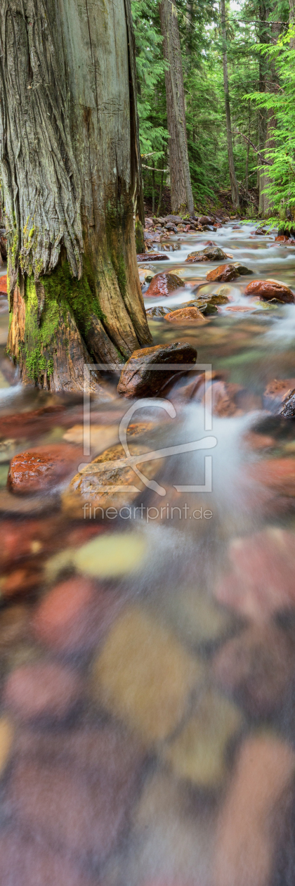 Bild-Nr.: 11430350 Jackson Creek - Glacier NP Montana, USA erstellt von TomKli