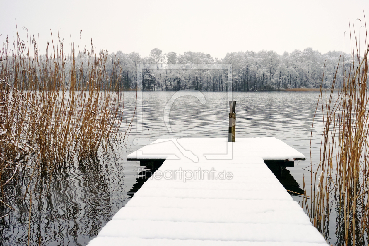 Bild-Nr.: 11431230 Winterruhe erstellt von Ostfriese