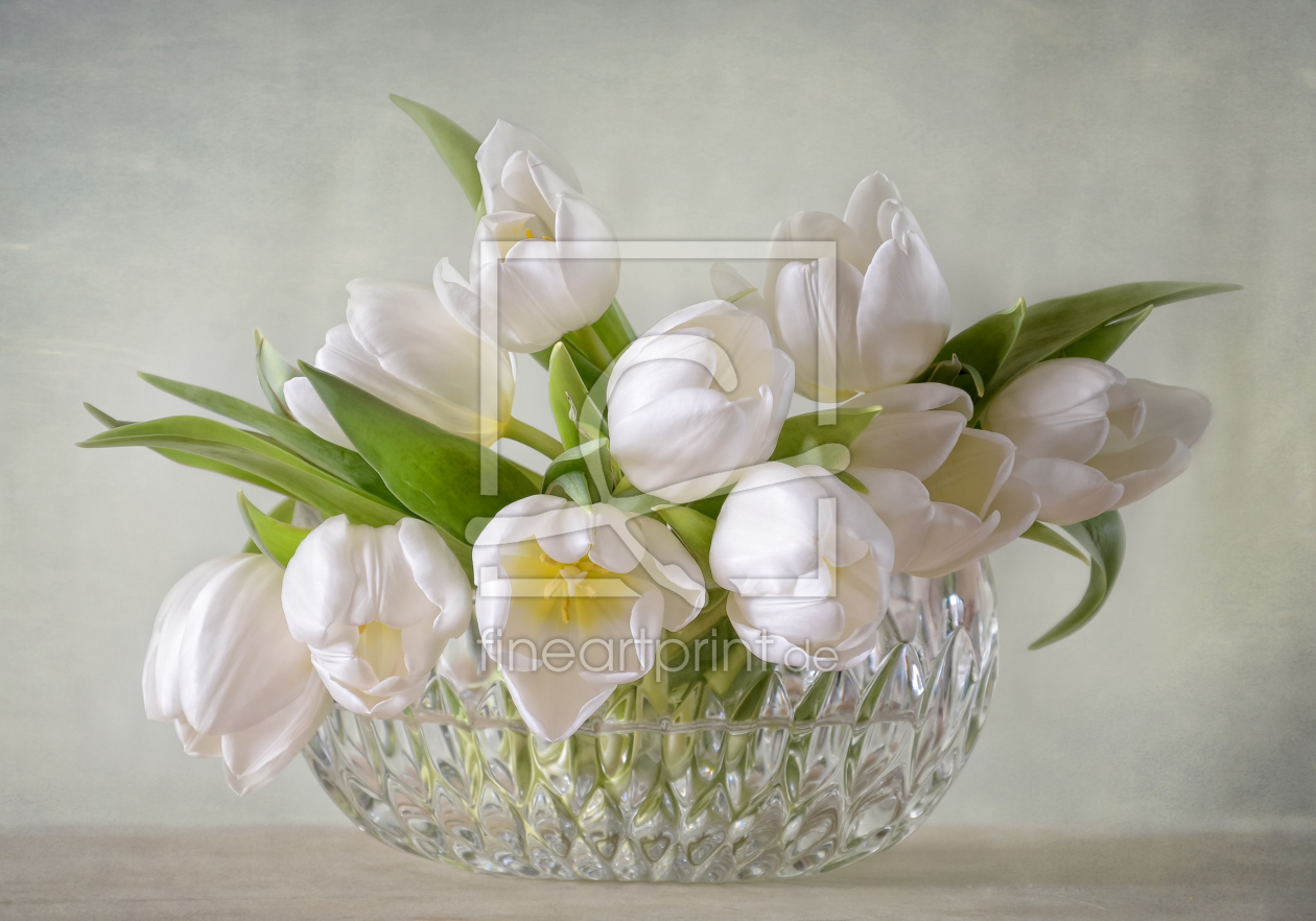 Bild-Nr.: 11431268 Spring Flowers erstellt von Steffen Gierok
