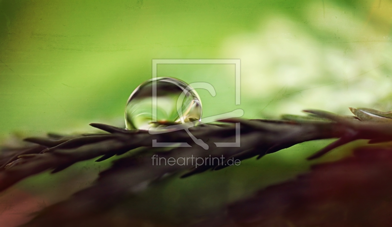Bild-Nr.: 11432134 Green drop erstellt von youhaveadream
