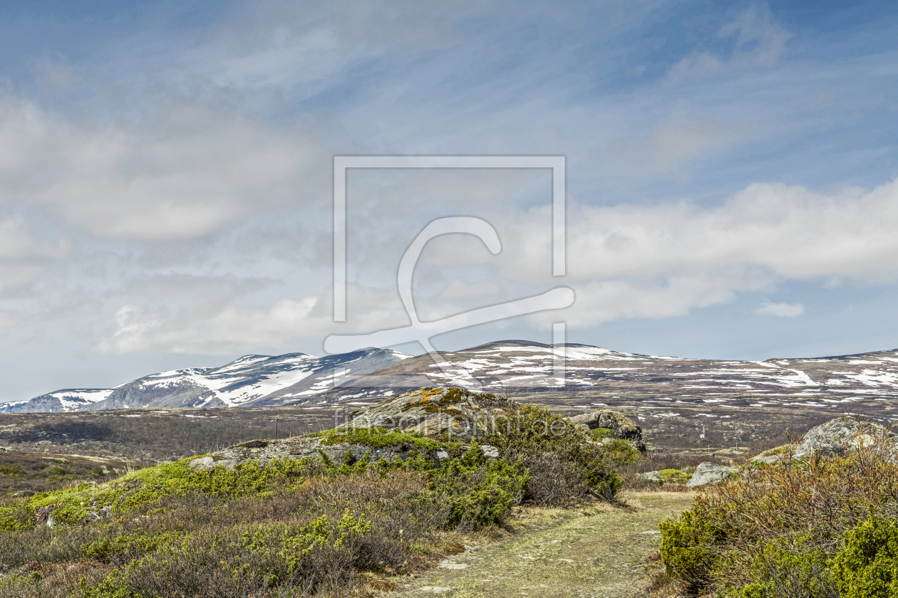 Bild-Nr.: 11432429 Wanderweg durchs Dovrefjell erstellt von EderHans