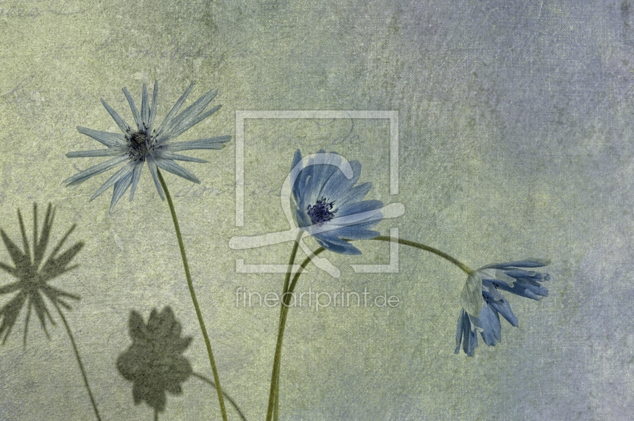 Bild-Nr.: 11434292 three dancers in blue erstellt von Rosina Schneider