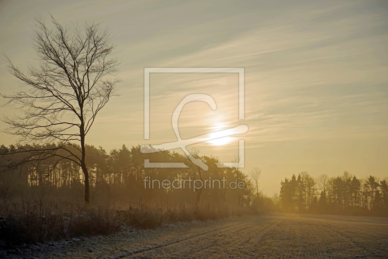Bild-Nr.: 11434372 Dunstiger Morgen erstellt von Ostfriese
