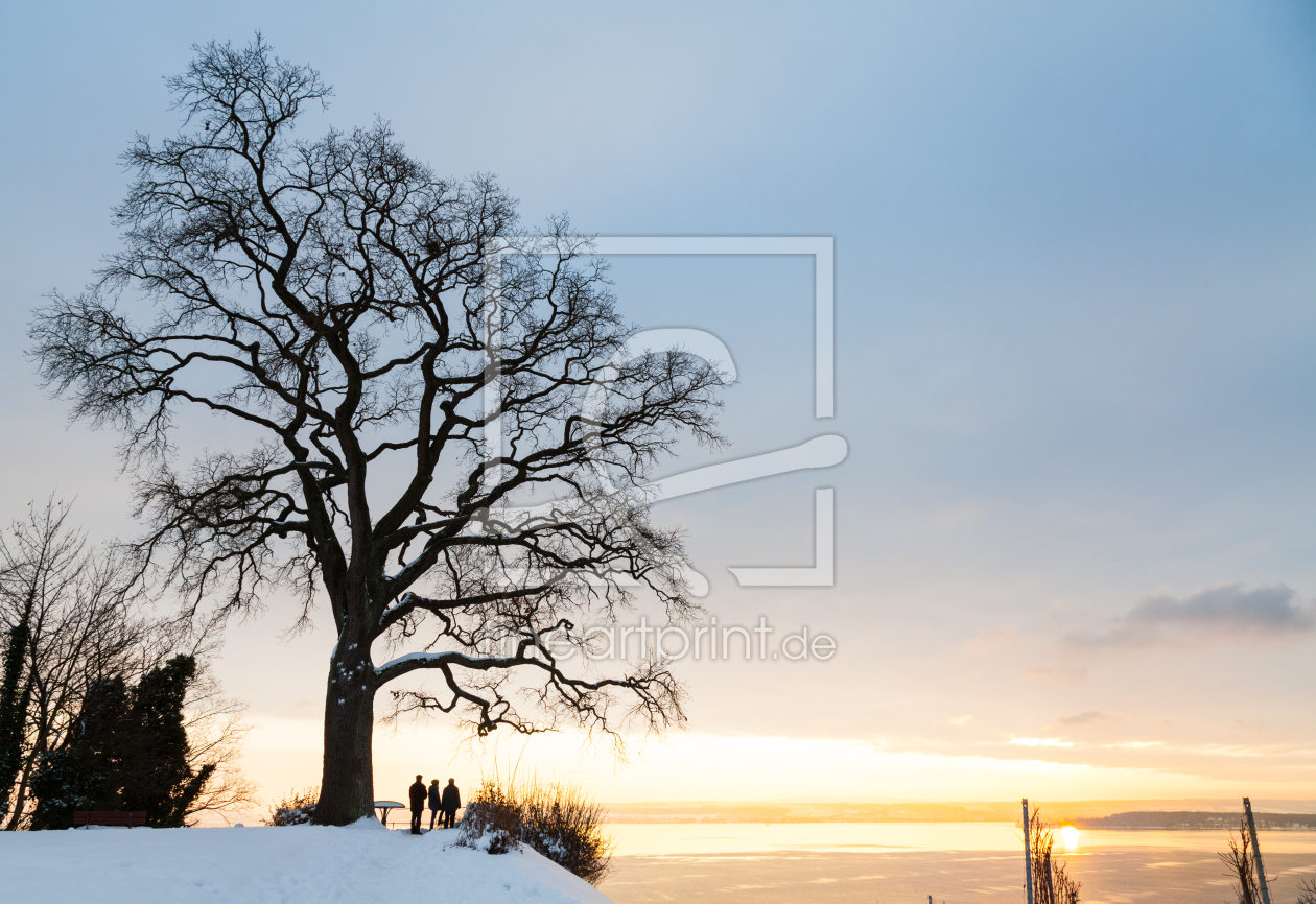 Bild-Nr.: 11435026 Baum im Winter erstellt von janschuler
