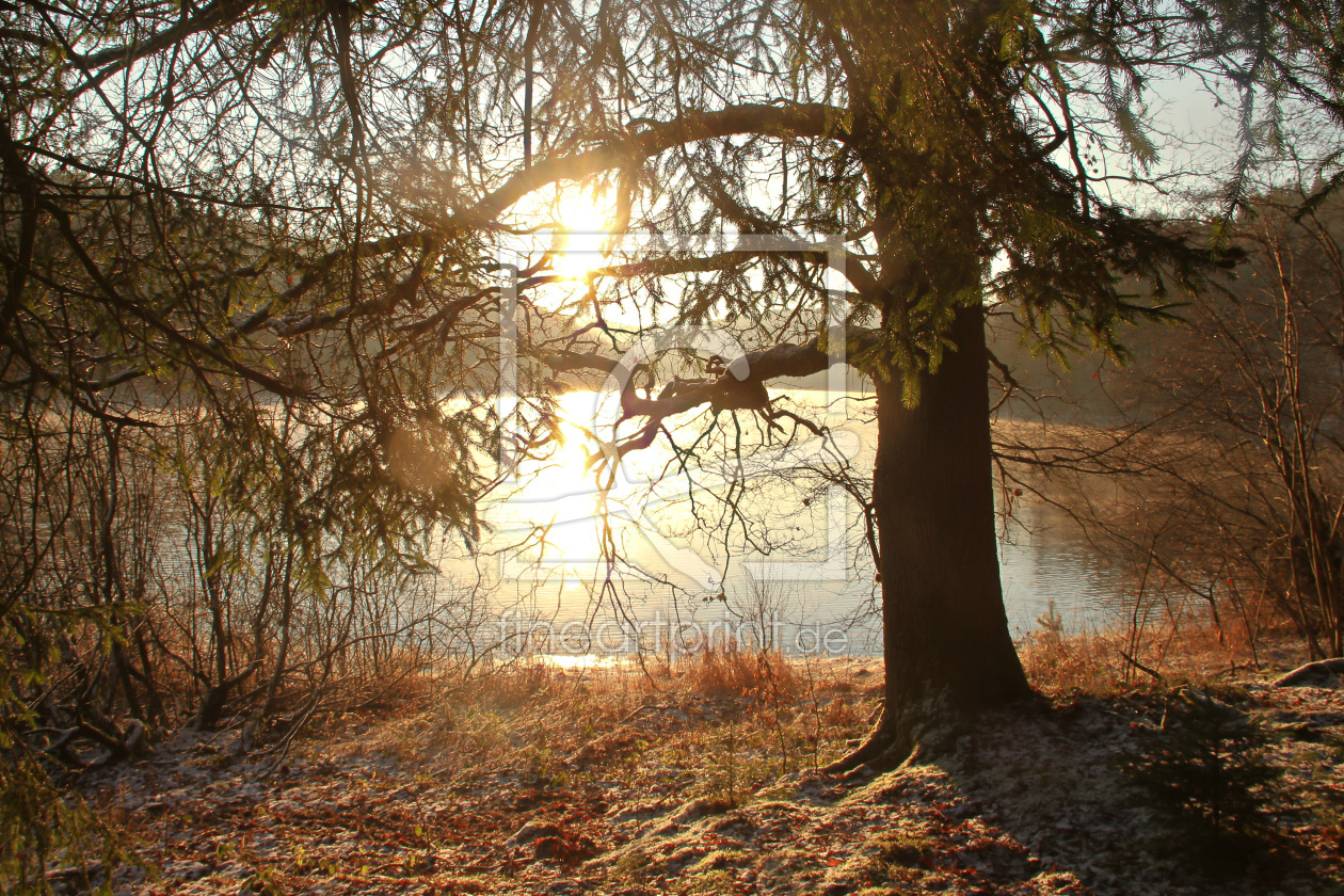 Bild-Nr.: 11435634 Wintermorgen am See erstellt von falconer59