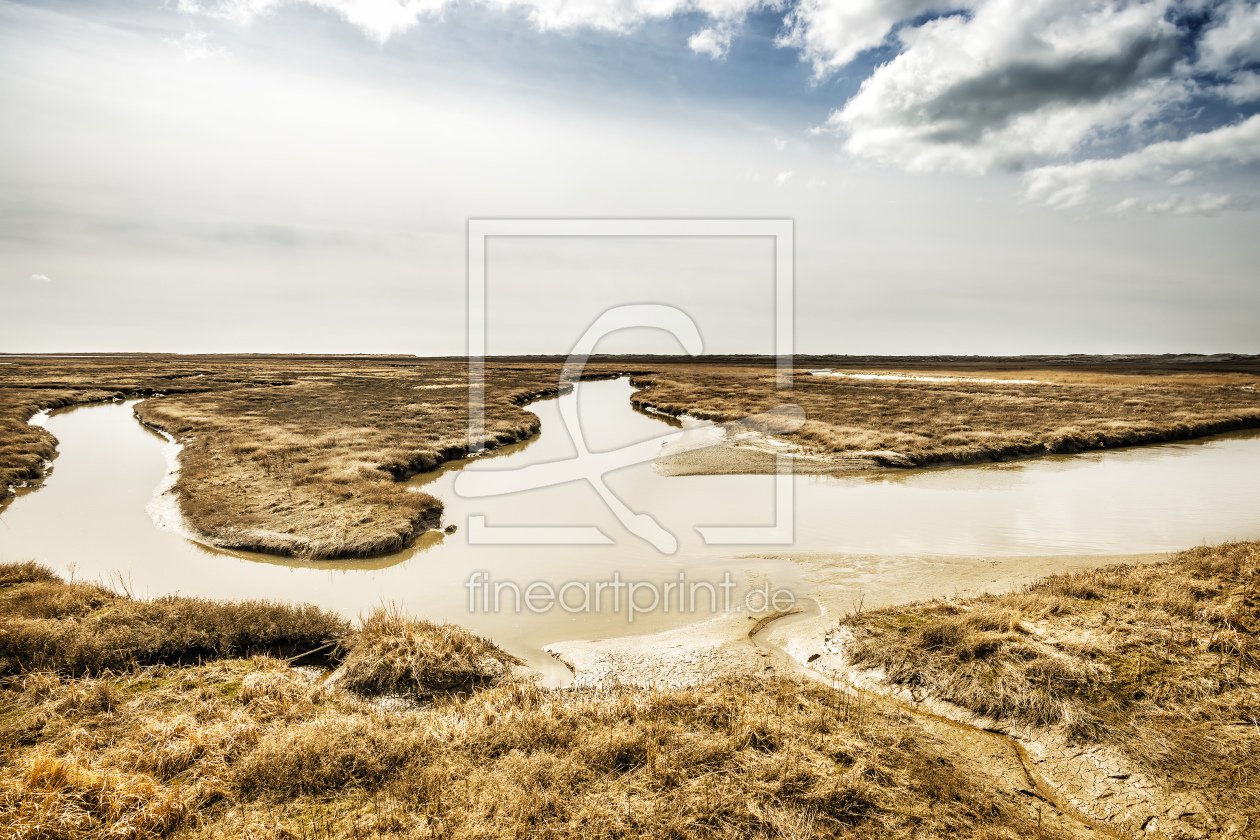 Bild-Nr.: 11436012 Landschaft bei St. Peter Ording erstellt von Wolfgang Zwanzger