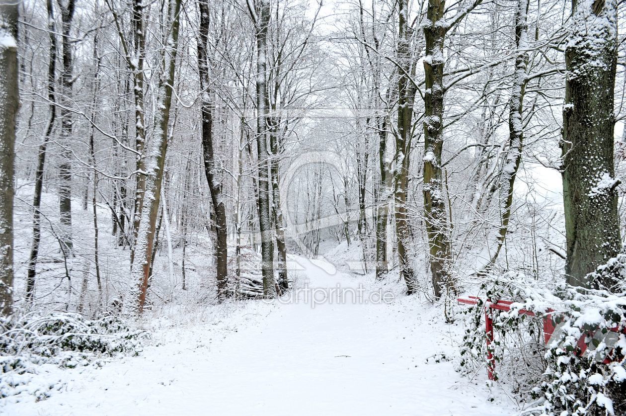 Bild-Nr.: 11436050 Winter erstellt von Sabineleifels