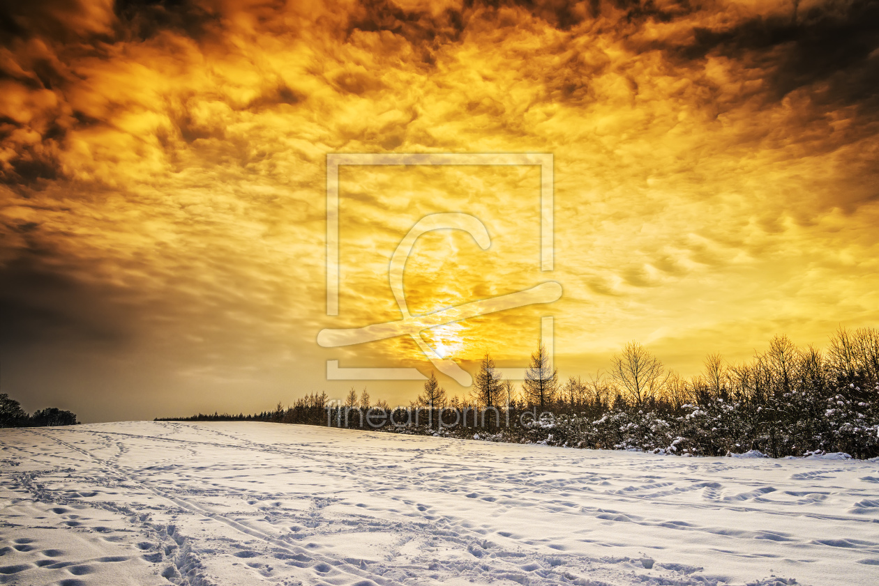 Bild-Nr.: 11437152 Winter Sonnenuntergang erstellt von Wolfgang Zwanzger