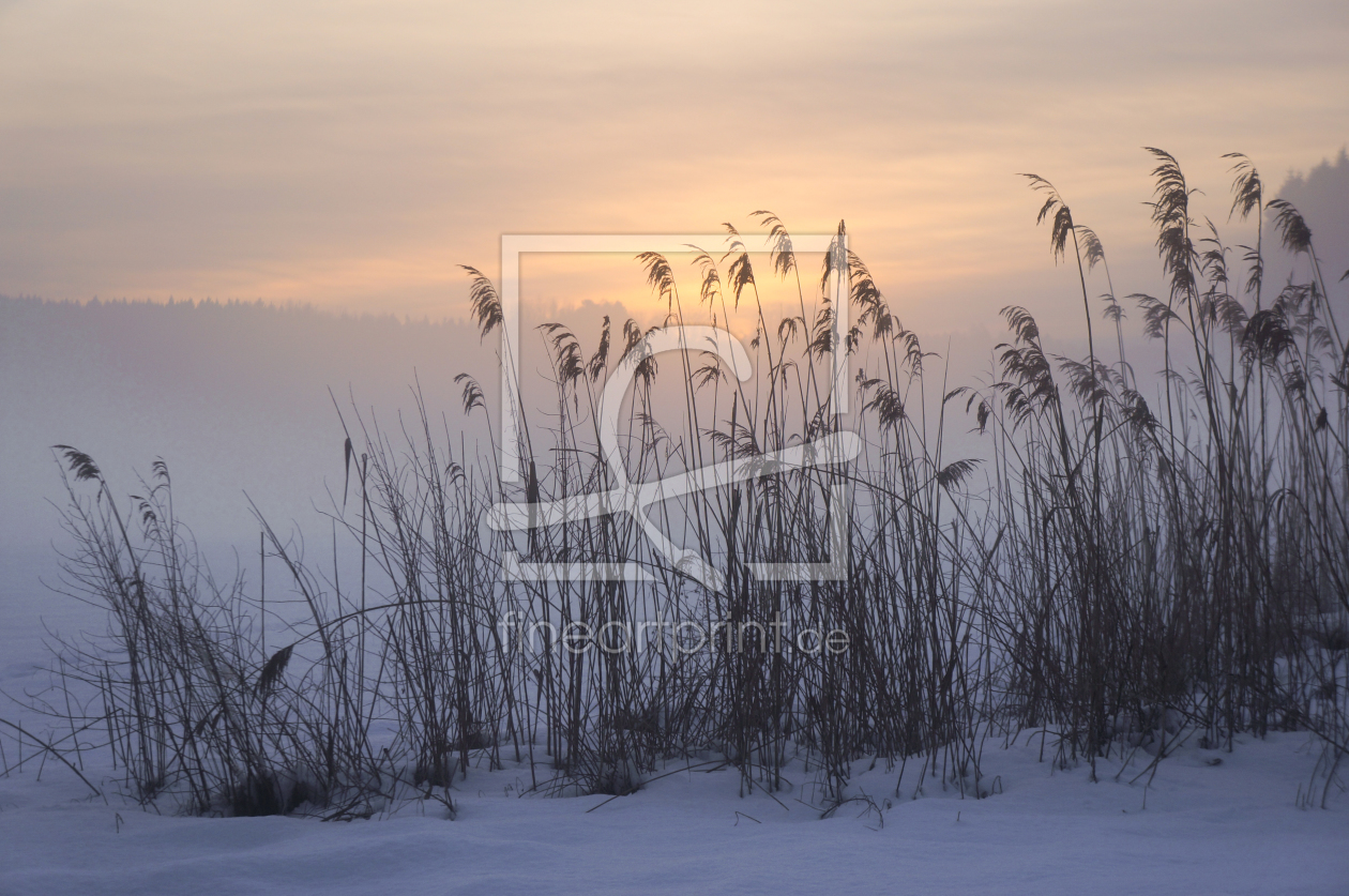 Bild-Nr.: 11437473 Winterabend erstellt von ELIO