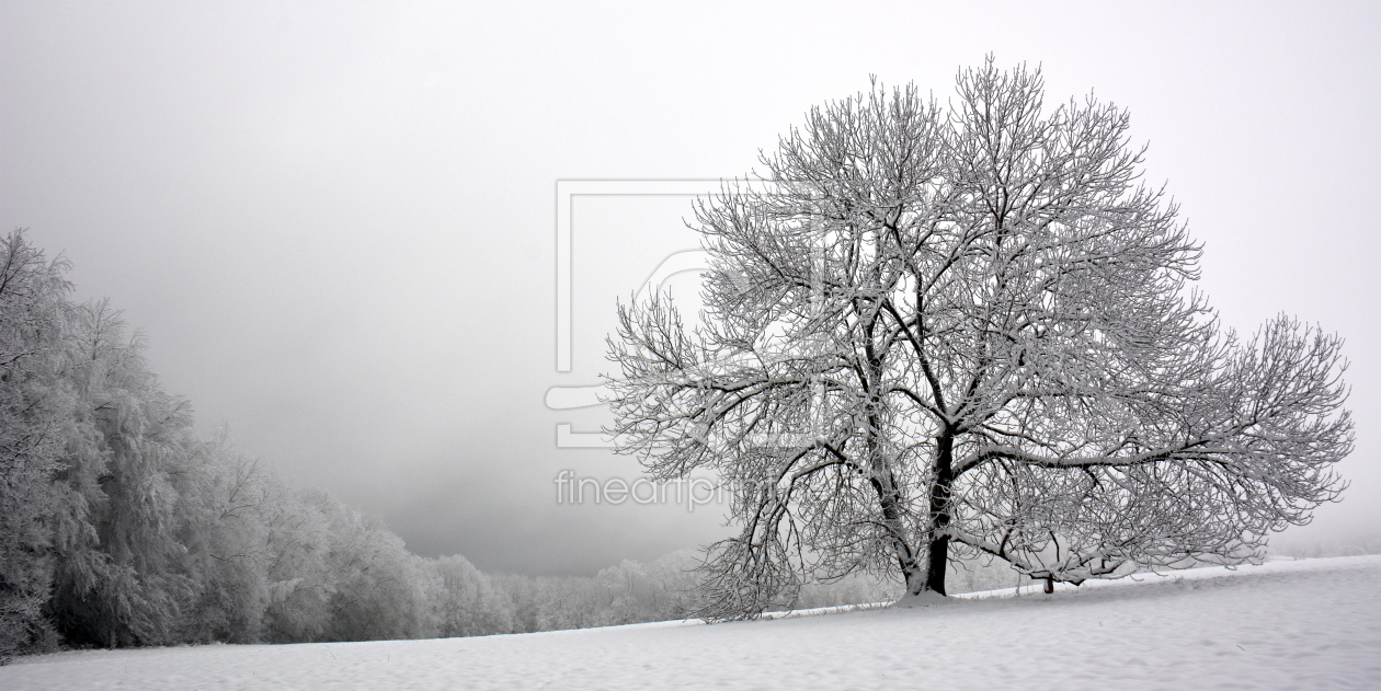 Bild-Nr.: 11437495 Winterpoesie erstellt von GUGIGEI