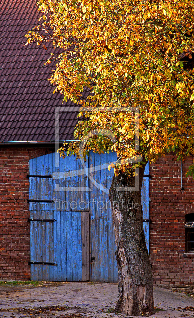 Bild-Nr.: 11438356 Kastanienbaum im Herbst vor einem Bauernhof erstellt von A-Grotehans