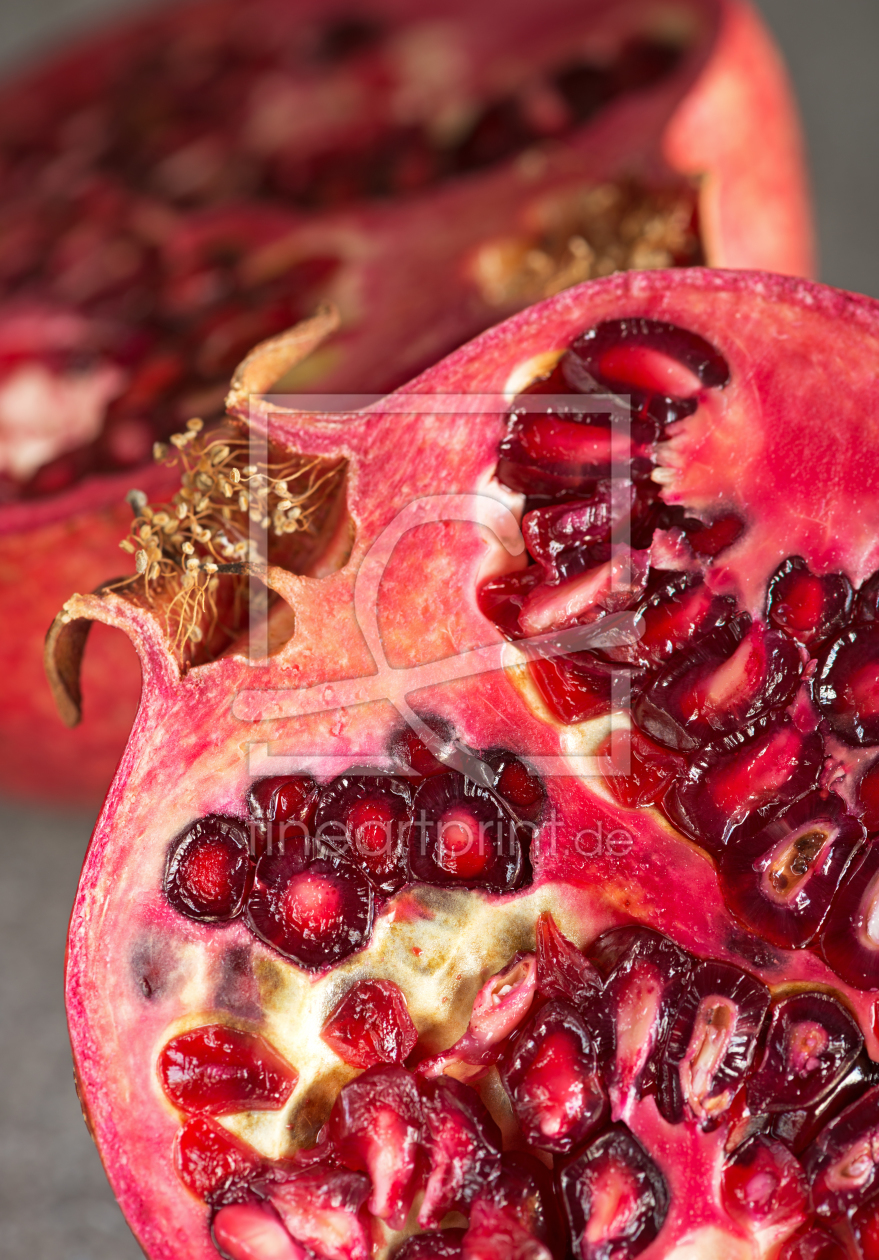 Bild-Nr.: 11438542 Granatapfel Bild-Nr.: 11438542 Granatapfel erstellt von Nordbilder