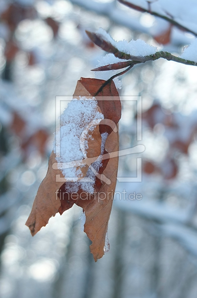 Bild-Nr.: 11438619 Winterimpressionen erstellt von Marion227