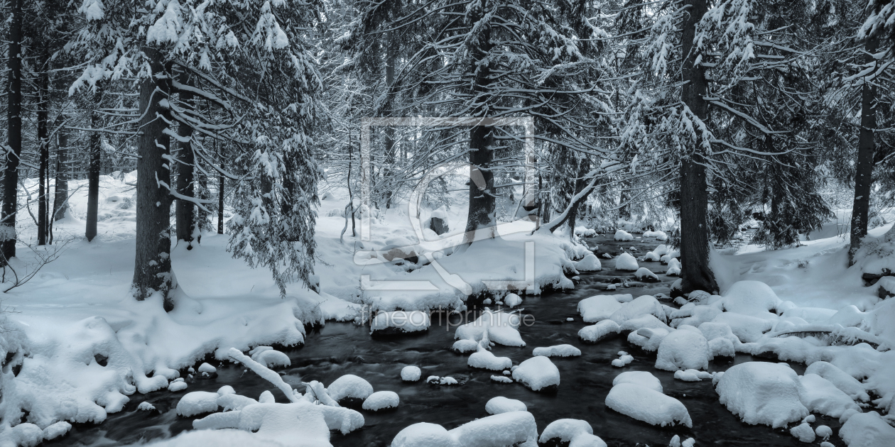 Bild-Nr.: 11441603 Winter im Harz erstellt von Steffen Gierok