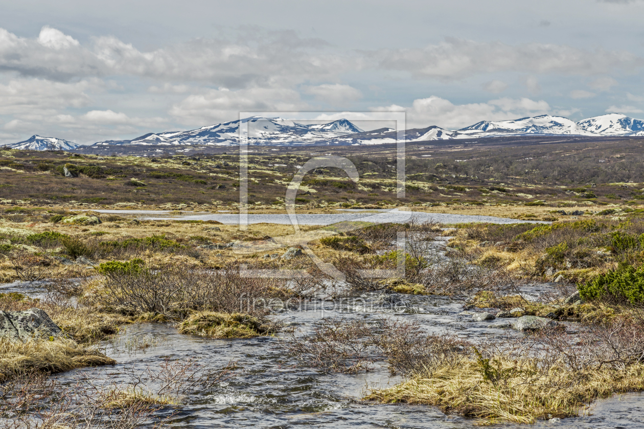 Bild-Nr.: 11441721 Im Dovrefjell erstellt von EderHans