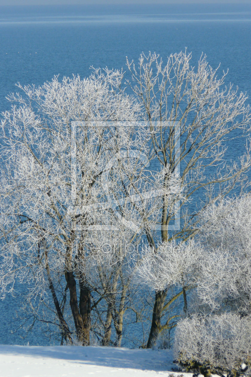 Bild-Nr.: 11441800 Winterimpressionen erstellt von kalkgrund
