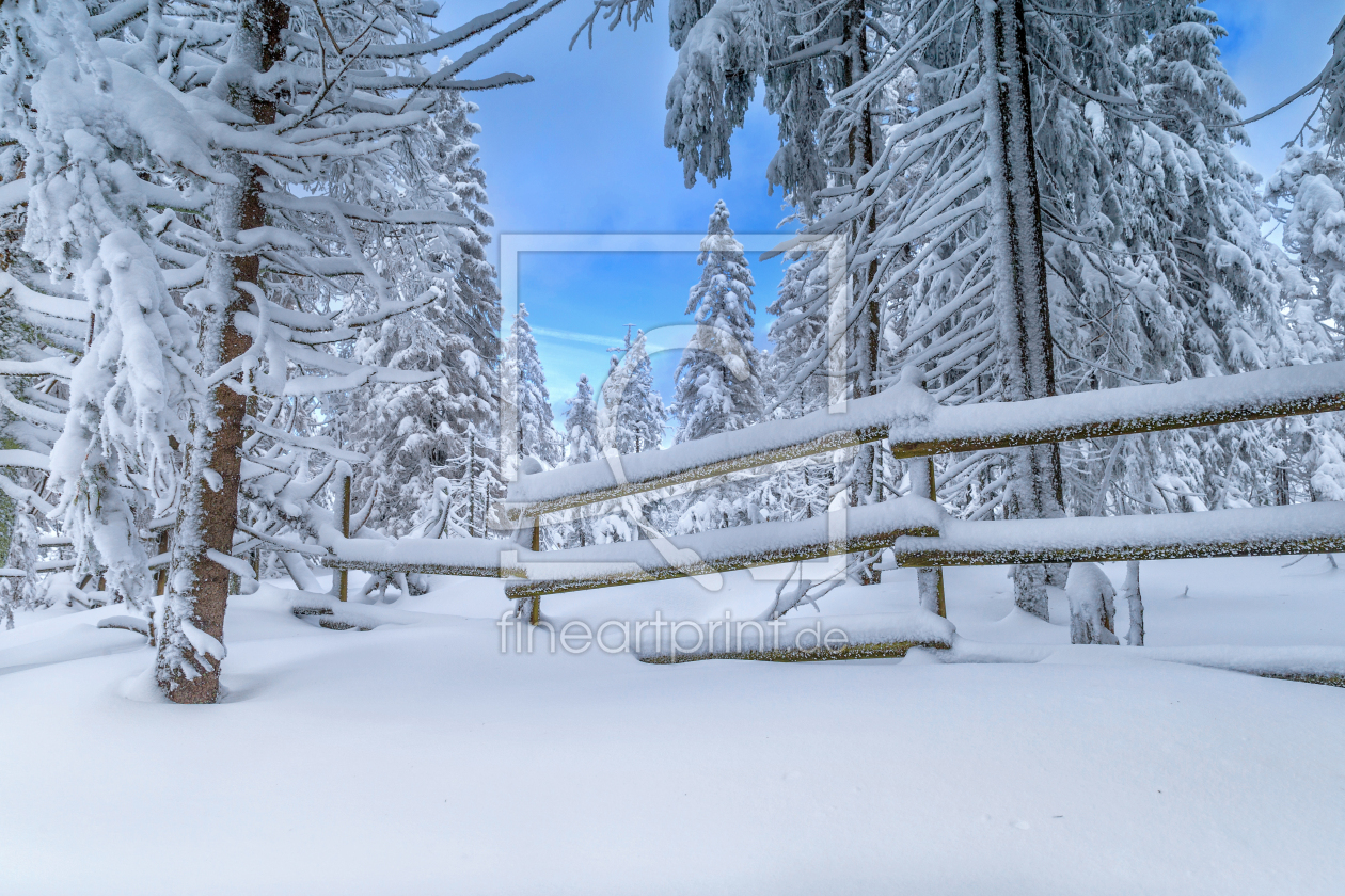 Bild-Nr.: 11444410 Winterzeit erstellt von HeschFoto