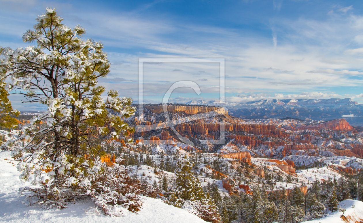 Bild-Nr.: 11444455 Winterlandschaft erstellt von CanonOnTour