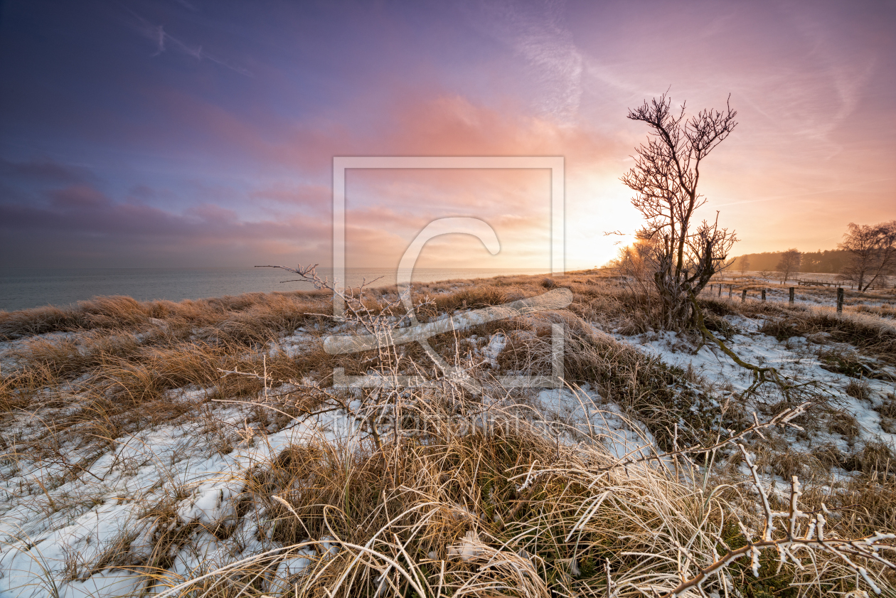 Bild-Nr.: 11444906 Winterland erstellt von Nordbilder