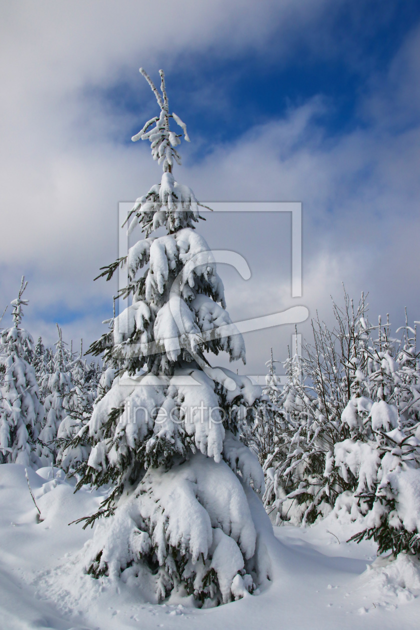 Bild-Nr.: 11445054 Winterlandschaft erstellt von falconer59