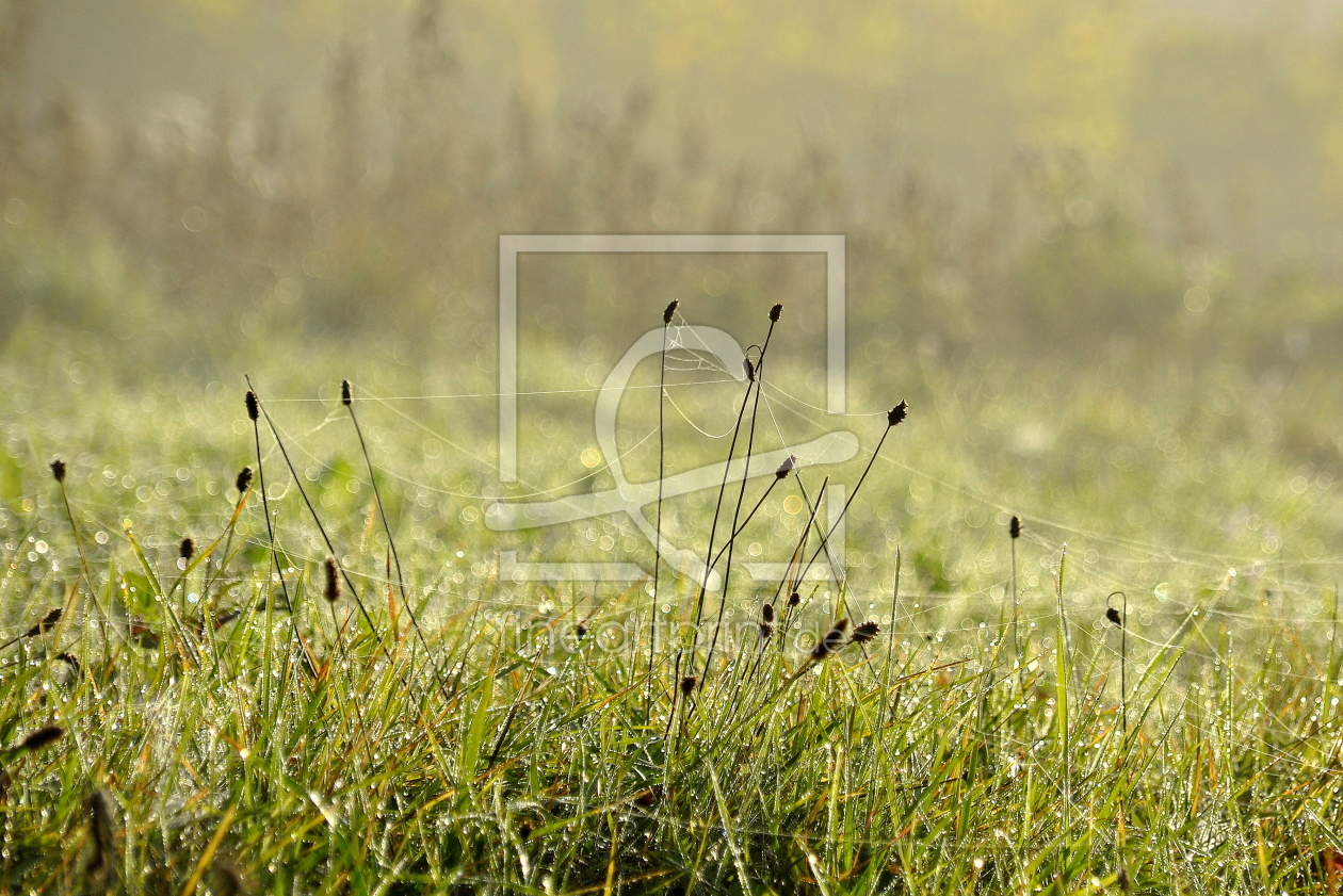 Bild-Nr.: 11445762 Zusammenhalt Bild-Nr.: 11445762 Zusammenhalt erstellt von GUGIGEI