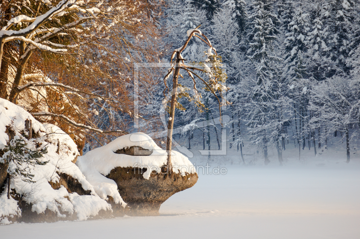 Bild-Nr.: 11445782 Letzte Sonnenstrahlen am Bergsee erstellt von ELIO