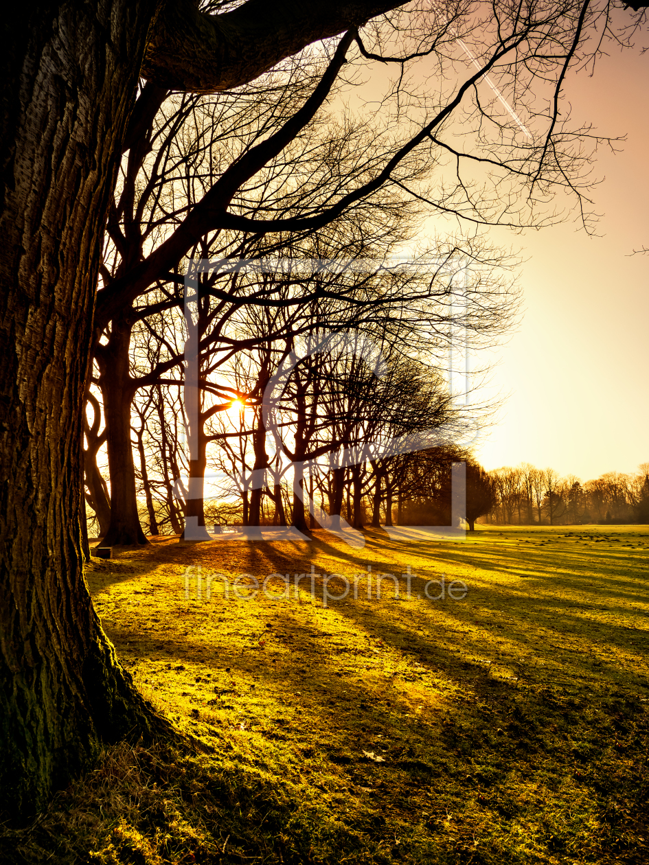 Bild-Nr.: 11446323 Sonnenuntergang im Park erstellt von Daniel Heine