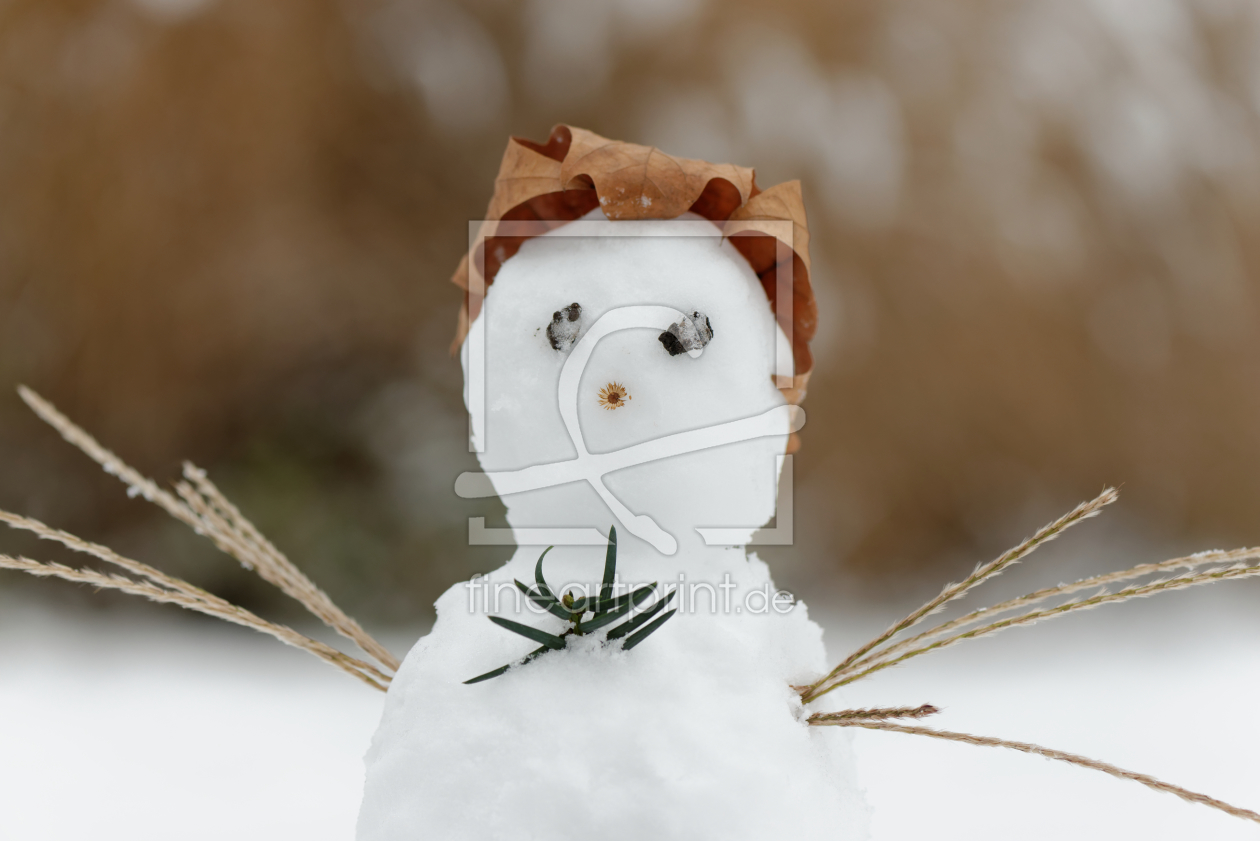 Bild-Nr.: 11447208 Schneemann mit Hut erstellt von Martin Schütze