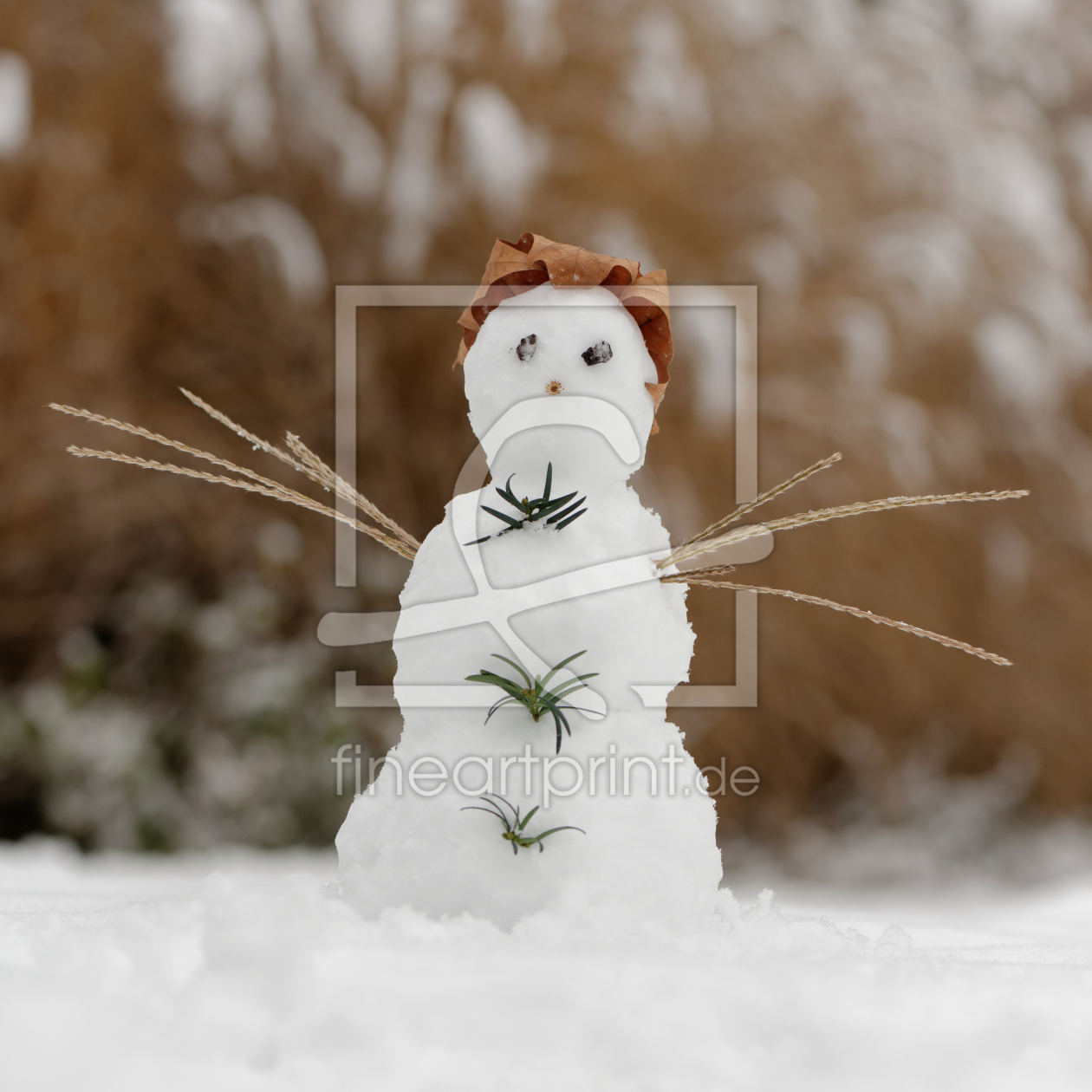 Bild-Nr.: 11447212 Schneemann im Park erstellt von Martin Schütze