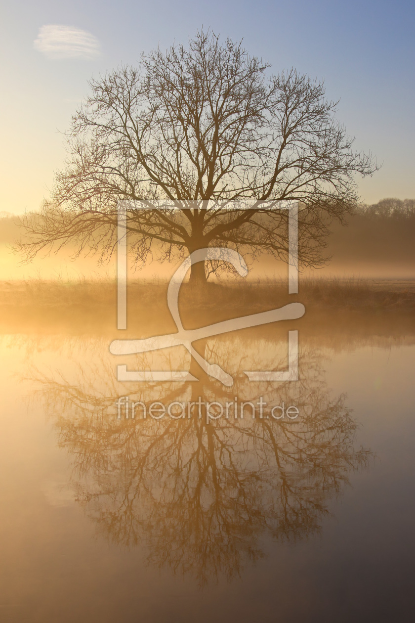 Bild-Nr.: 11447712 Der Baum am Ruhrufer Bild-Nr.: 11447712 Der Baum am Ruhrufer erstellt von falconer59