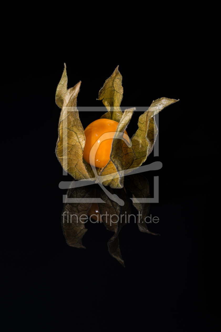 Bild-Nr.: 11450298 Physalis 25 erstellt von Erhard Hess